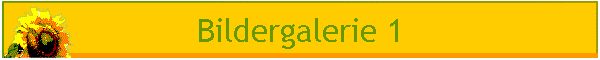 Bildergalerie 1