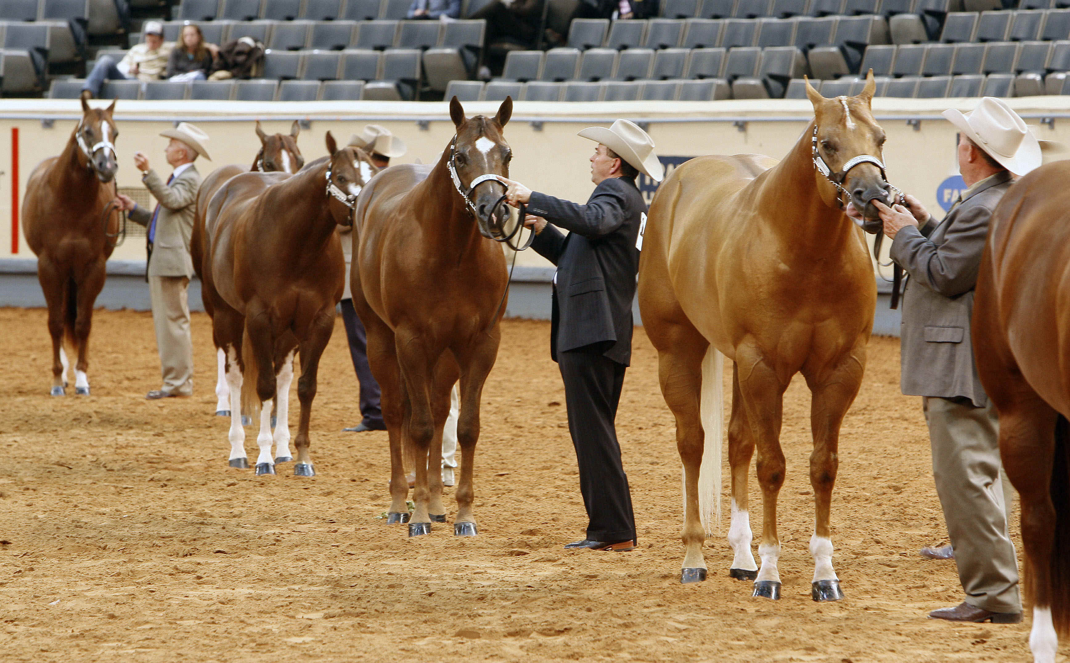 american-quarter-horse-world-show.jpg (1493957 Byte)